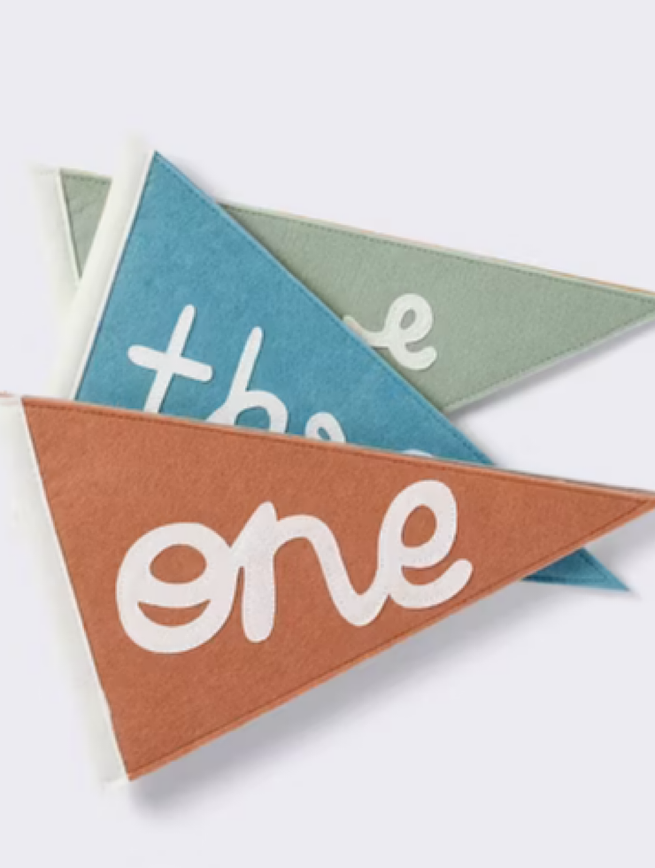 Baby Milestone Pennant