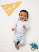 Load image into Gallery viewer, Baby Milestone Pennant
