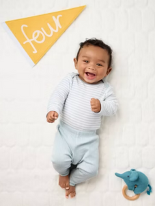 Baby Milestone Pennant