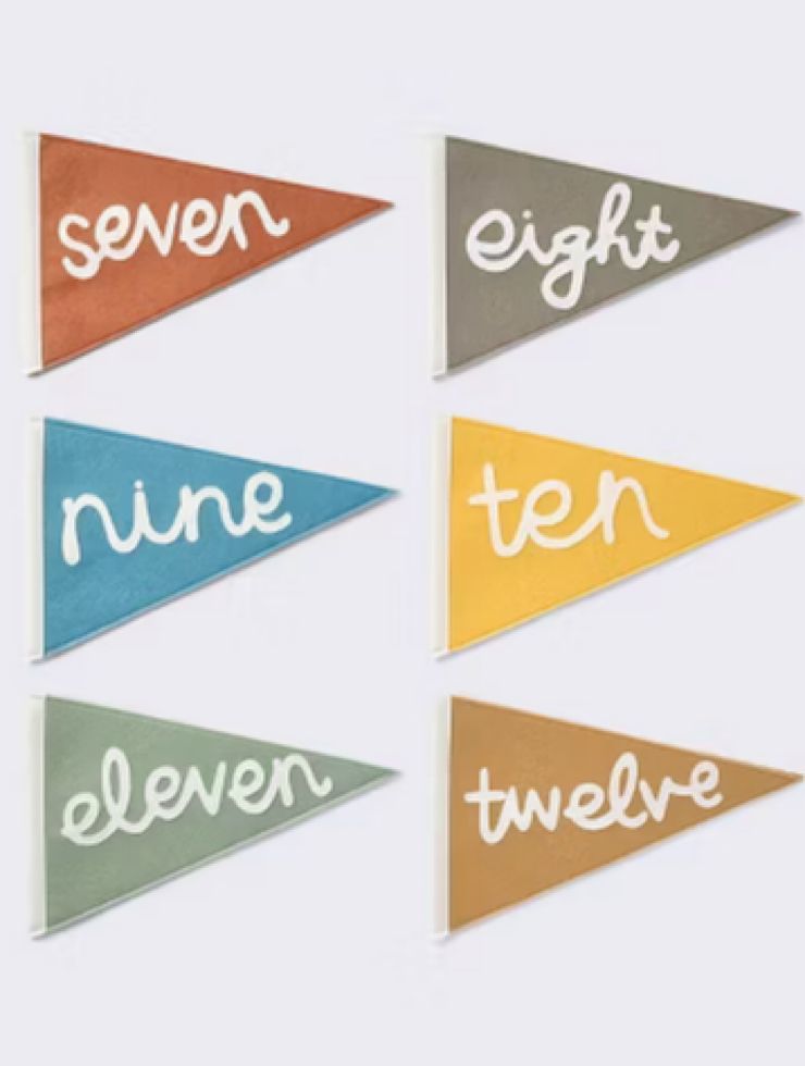 Baby Milestone Pennant