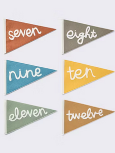 Baby Milestone Pennant