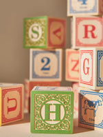 Load image into Gallery viewer, Uncle Goose Classic ABC Blocks
