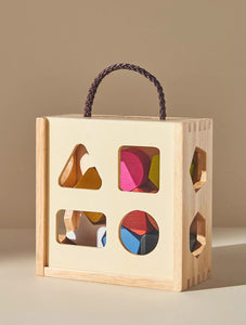 Shape Sorter Puzzle